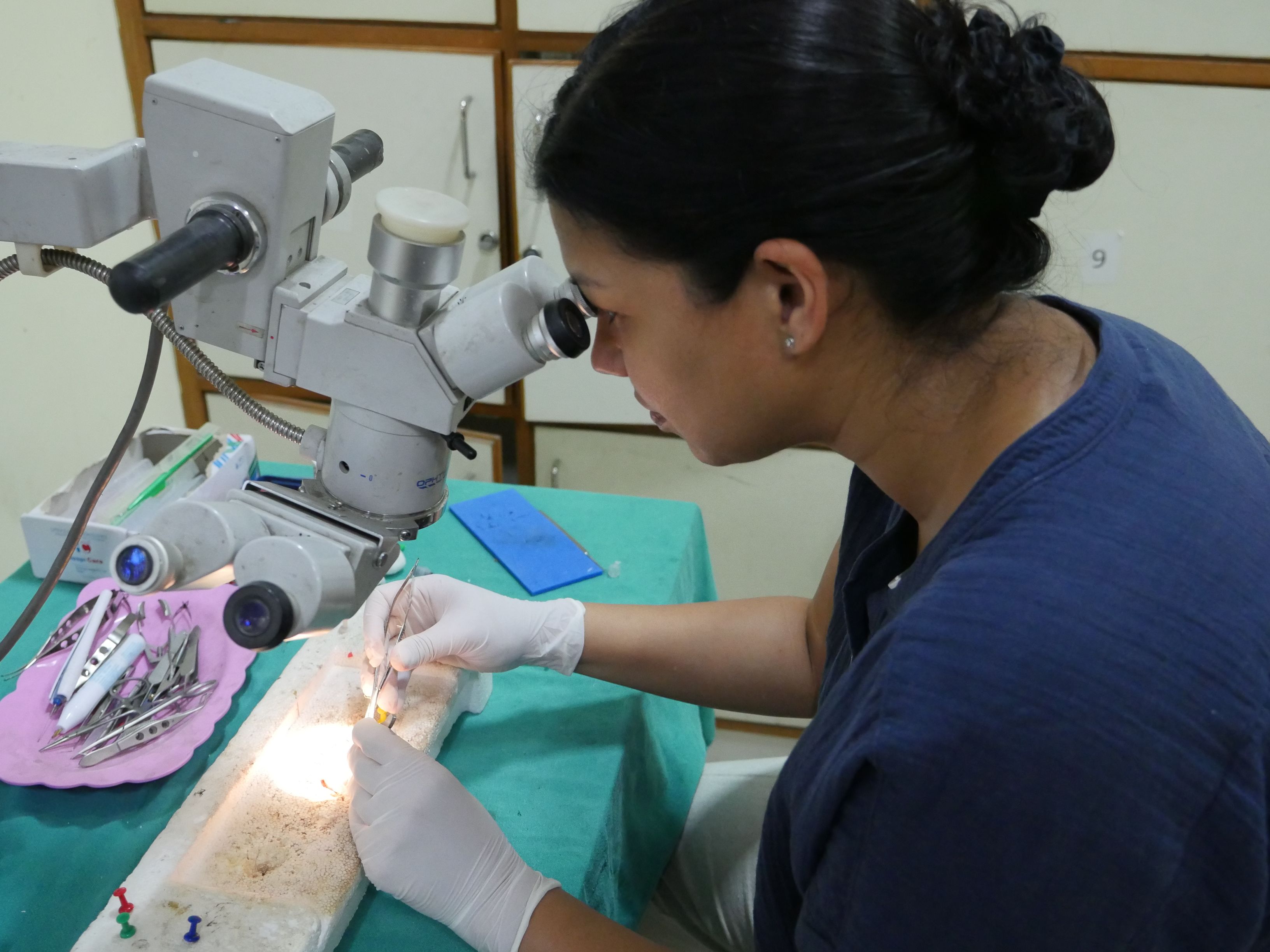 A scientist looks into a microscope as she examines materials
